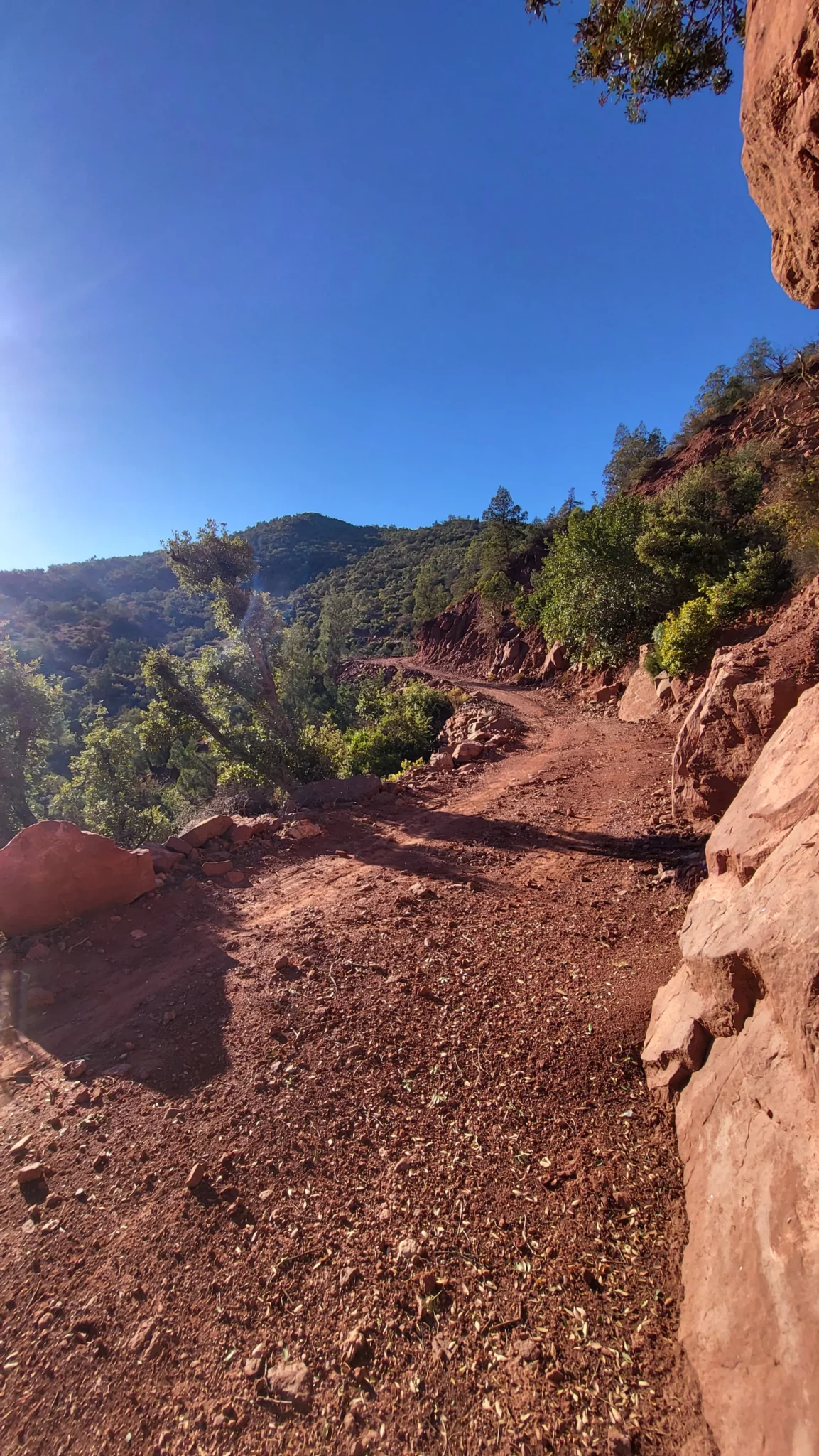Chemin Rocheux Montagneux
